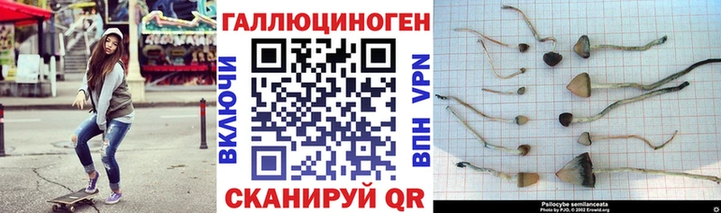 Галлюциногенные грибы мицелий  hydra вход  Майкоп  наркошоп 